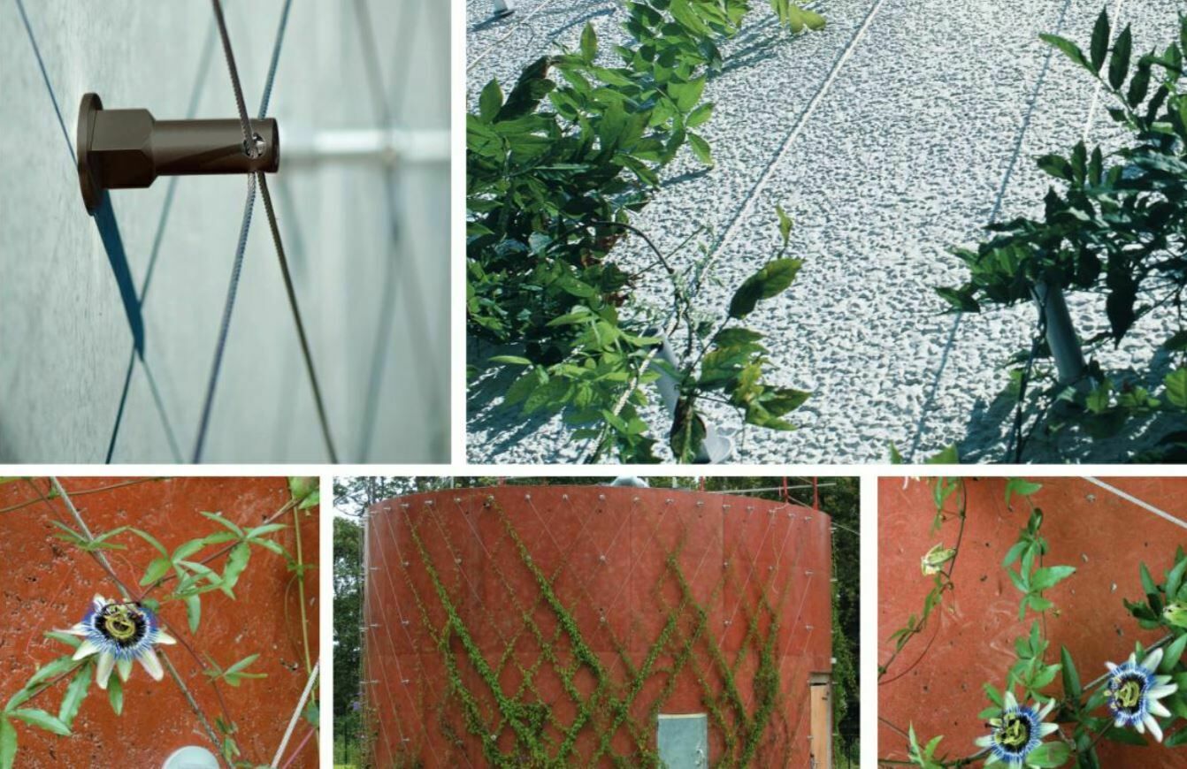 Fixation Mur Végétal Inox - Câble plante grimpante