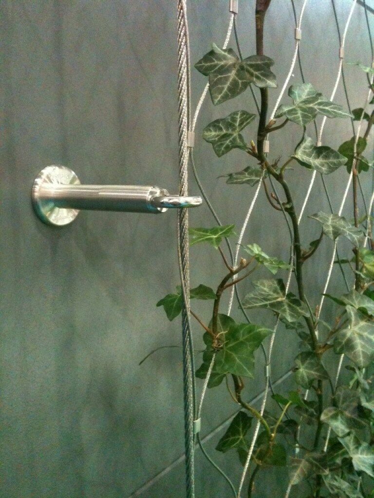 Kit de câble en acier inoxydable pour plantes grimpantes Vignes et  Wallwanan vert